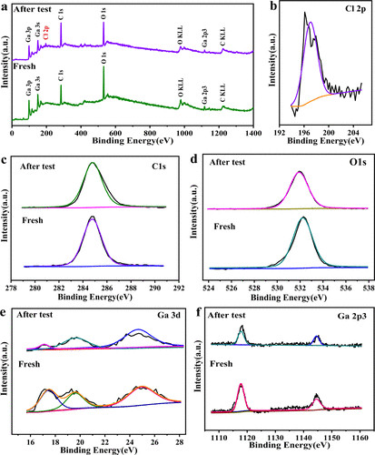 探究液態(tài)金屬鎵電極表面陰離子對CO2轉(zhuǎn)化為CO效率影響