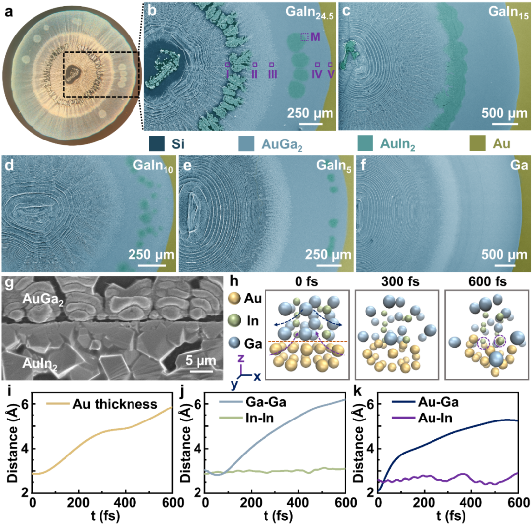 中科院理化所劉靜、王倩團隊Adv. Mater.：液態(tài)金屬的鬼斧神工，在金屬表面精雕細刻造就美妙Liesegang圖案！