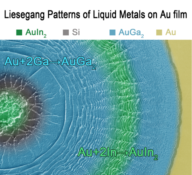 中科院理化所劉靜、王倩團隊Adv. Mater.：液態(tài)金屬的鬼斧神工，在金屬表面精雕細刻造就美妙Liesegang圖案！