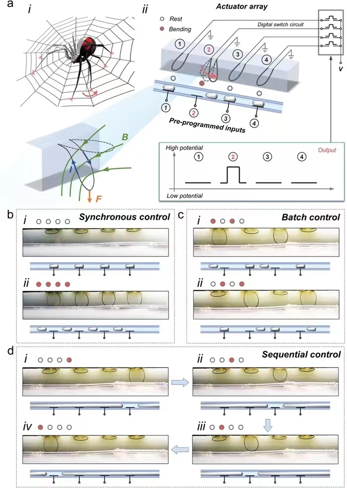 理化所在仿生液態(tài)金屬機電一體化器件研究方面取得新進展