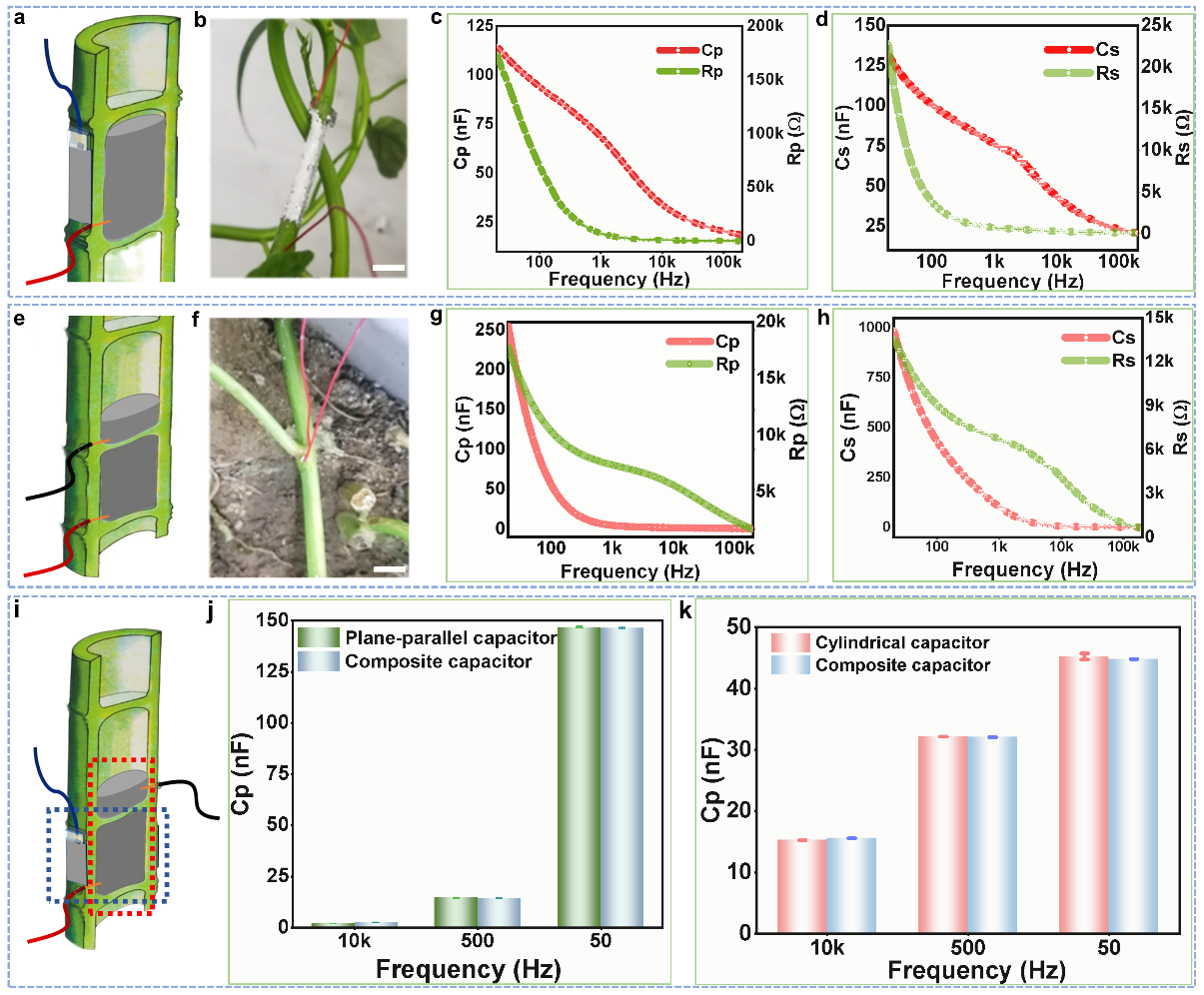 清華大學(xué)劉靜教授團隊《Mater. Today》:首次提出液態(tài)金屬植物注射電子學(xué)