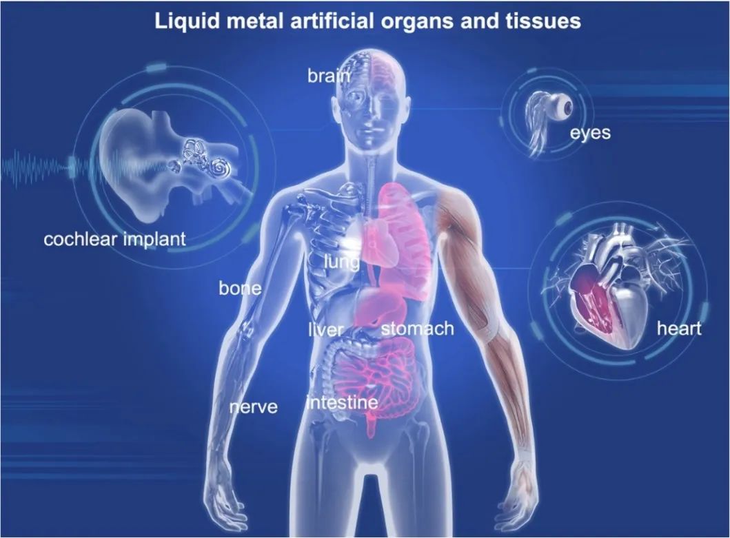 液態(tài)奇跡:清華大學(xué)劉靜教授領(lǐng)航液態(tài)金屬科技前沿