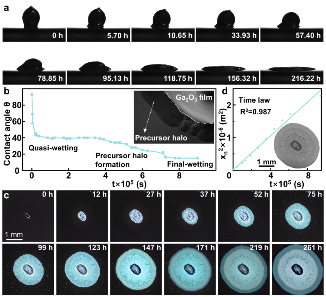 中科院理化所劉靜、王倩團隊Adv. Mater.：液態(tài)金屬的鬼斧神工，在金屬表面精雕細刻造就美妙Liesegang圖案！