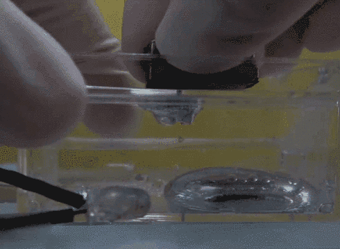 厲害了！液態(tài)金屬也可以有磁性 中國(guó)科學(xué)家最新成果