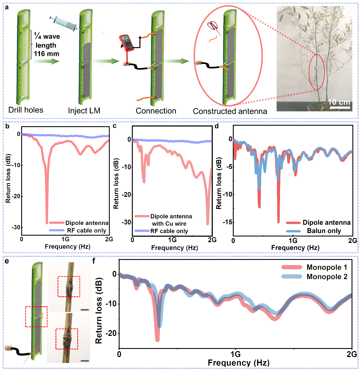 清華大學(xué)劉靜教授團隊《Mater. Today》:首次提出液態(tài)金屬植物注射電子學(xué)