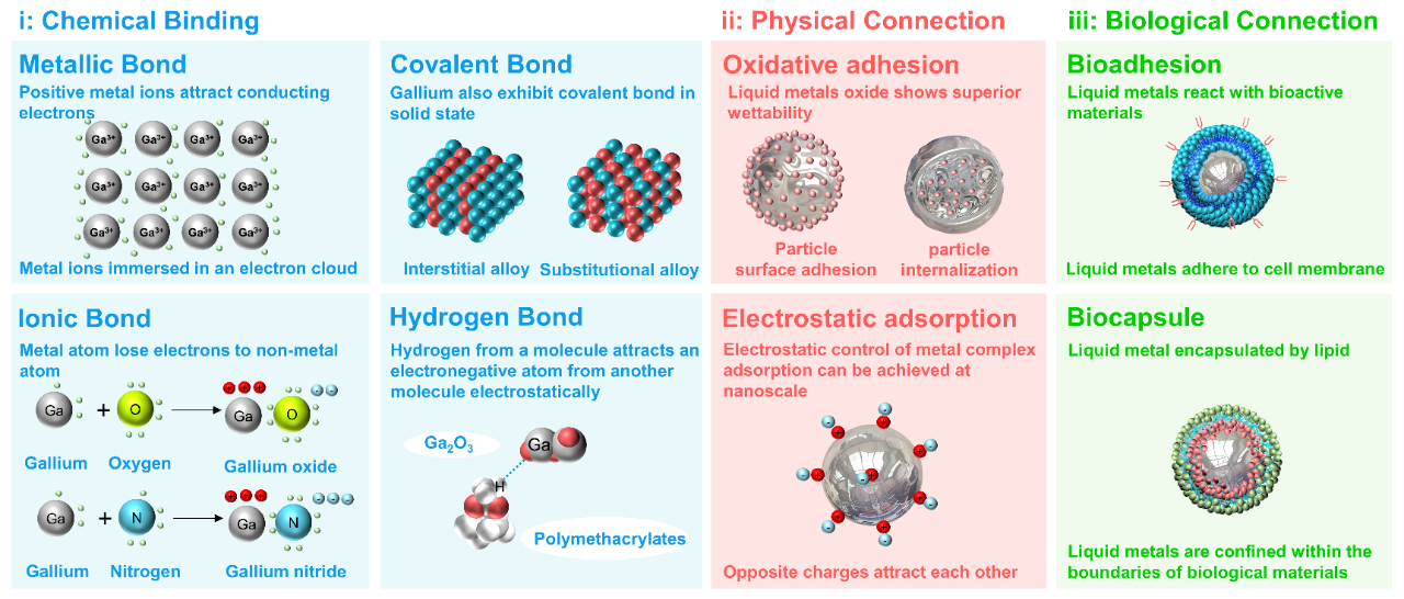 中科院理化所劉靜、饒偉團隊 Adv. Mater.：提出統(tǒng)一性液態(tài)金屬組合學思想及理論框架，詳解萬千功能材料發(fā)現(xiàn)之道