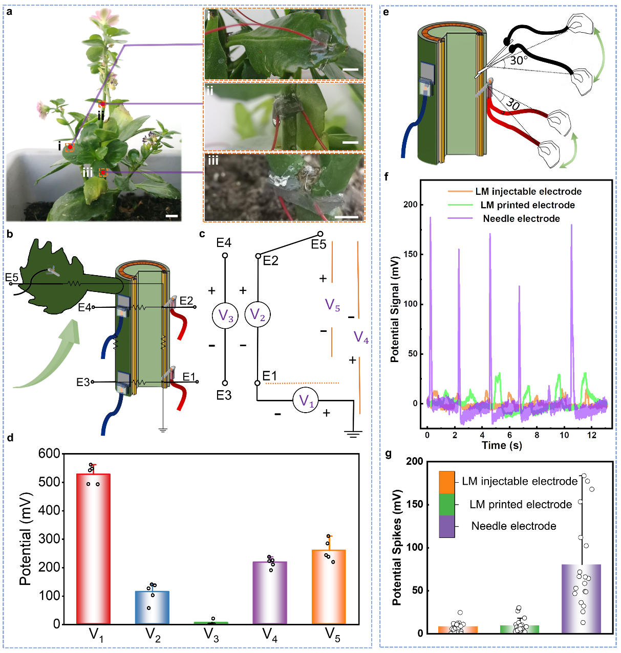 清華大學(xué)劉靜教授團隊《Mater. Today》:首次提出液態(tài)金屬植物注射電子學(xué)