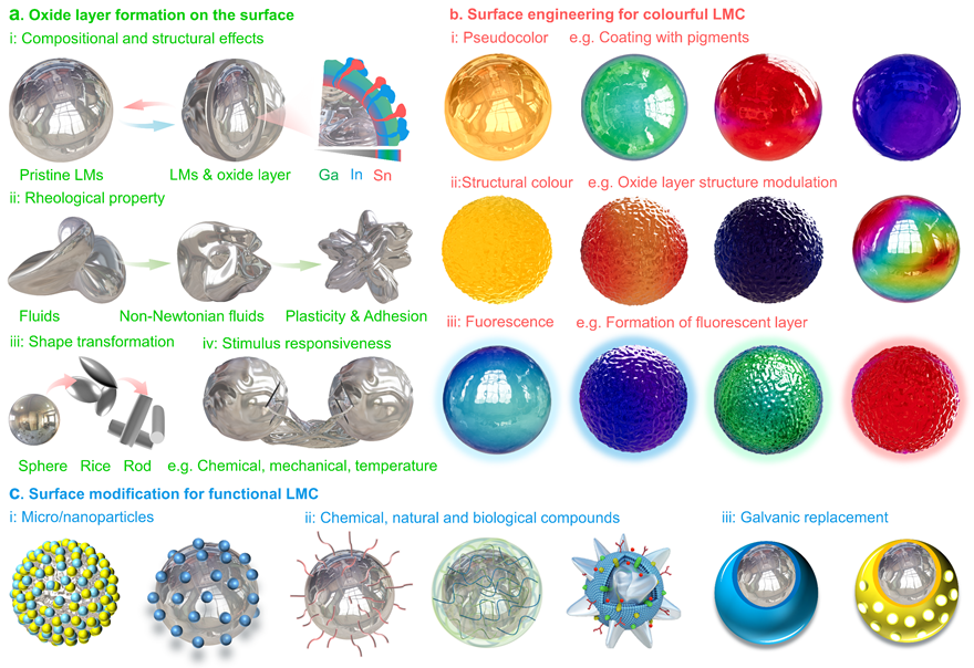 中科院理化所劉靜、饒偉團隊 Adv. Mater.：提出統(tǒng)一性液態(tài)金屬組合學思想及理論框架，詳解萬千功能材料發(fā)現(xiàn)之道