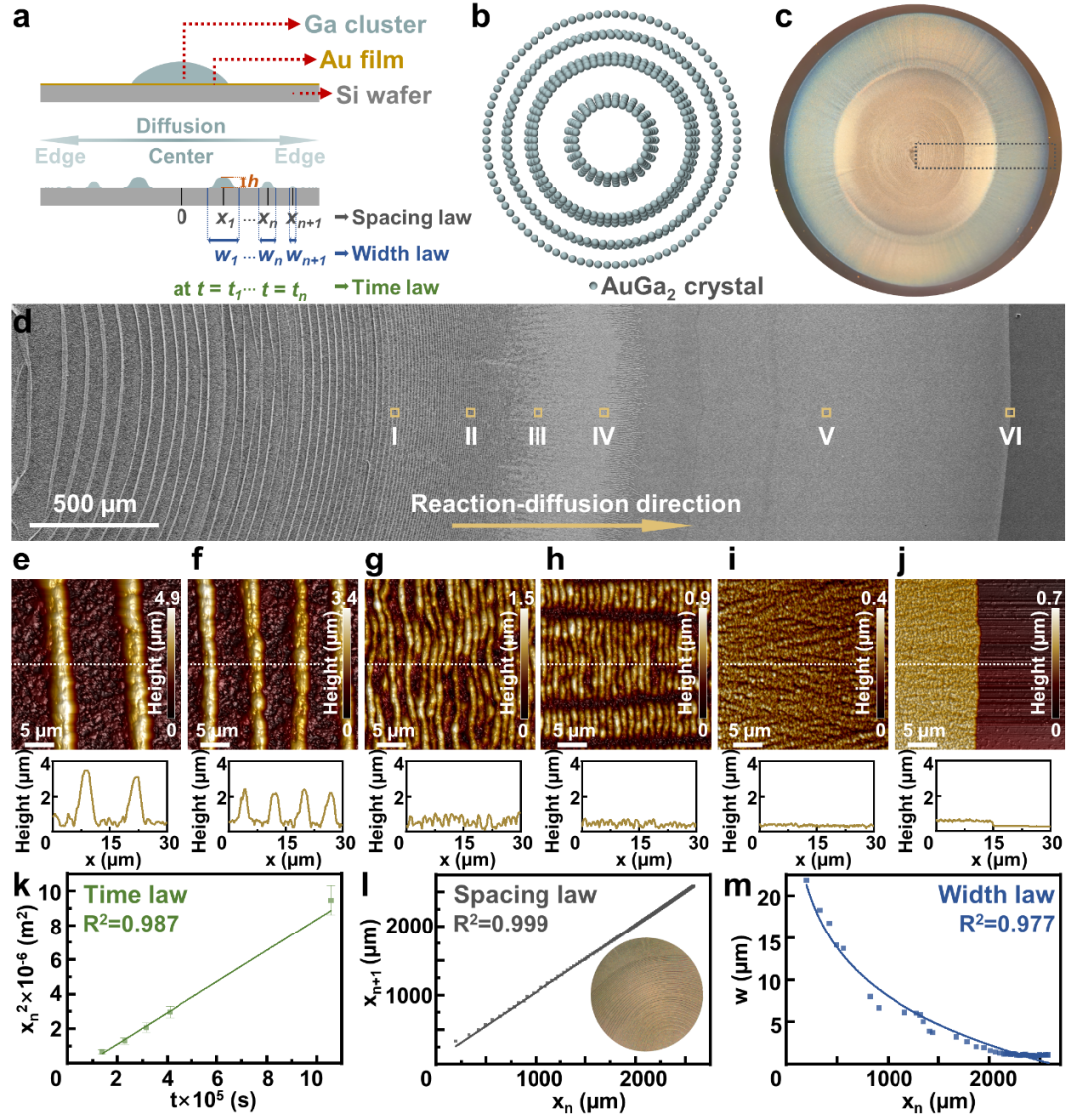中科院理化所劉靜、王倩團隊Adv. Mater.：液態(tài)金屬的鬼斧神工，在金屬表面精雕細刻造就美妙Liesegang圖案！